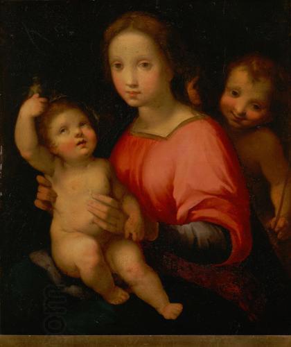 Andrea del Sarto Maria mit Kind und Johannesknaben oil painting picture